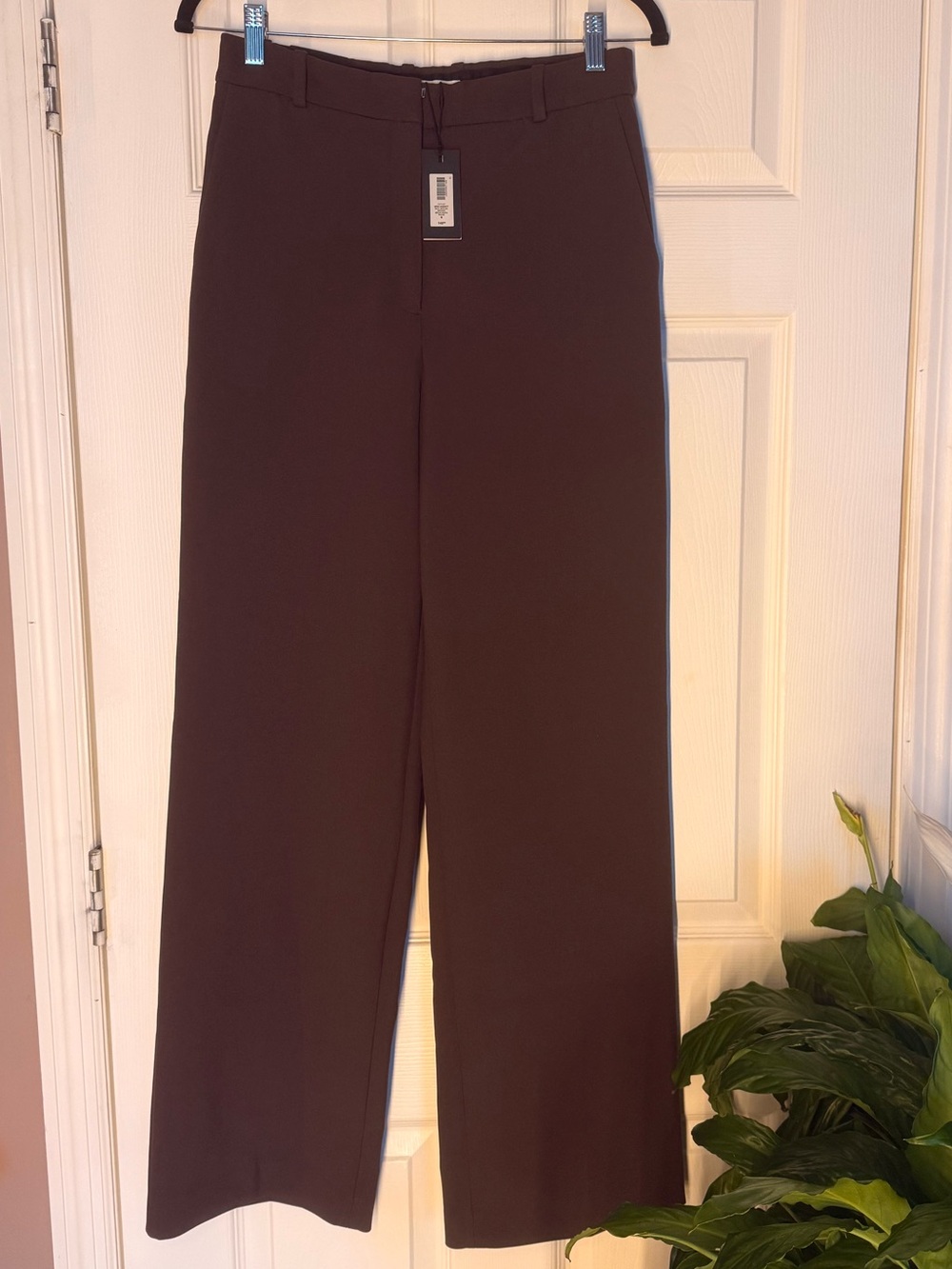 Aritiza Agency Pants (never worn)